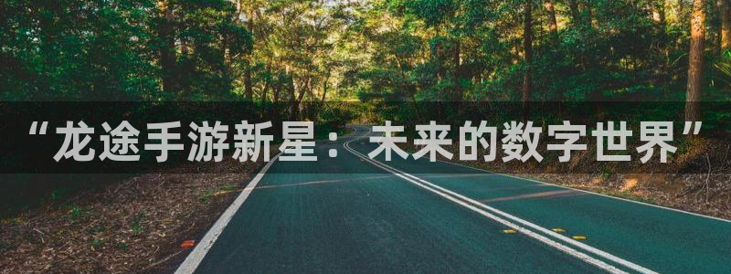 安信13娱乐注册：“龙途手游新星：未来的数字世界”