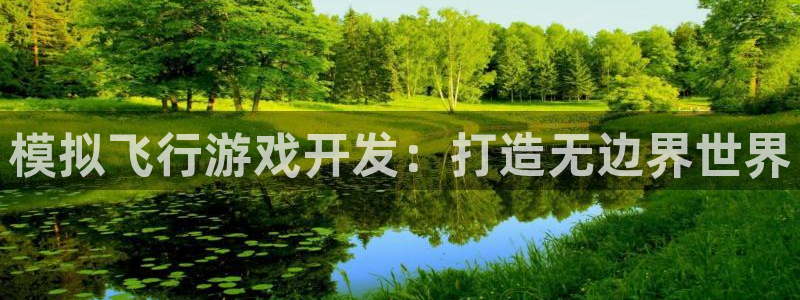 安信15娱乐：模拟飞行游戏开发：打造无边界世界