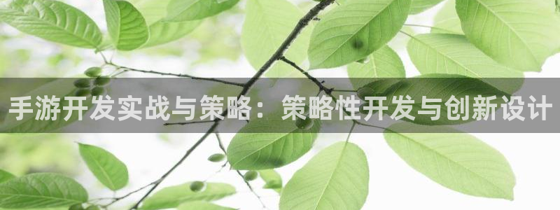 安信娱乐登入地址：手游开发实战与策略：策略性开发与创新设计