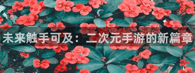 安信娱乐被国家认可吗：未来触手可及：二次元手游的新篇章