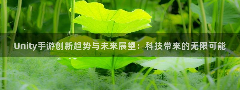 安信13娱乐注册：Unity手游创新趋势与未来展望：科技带来
