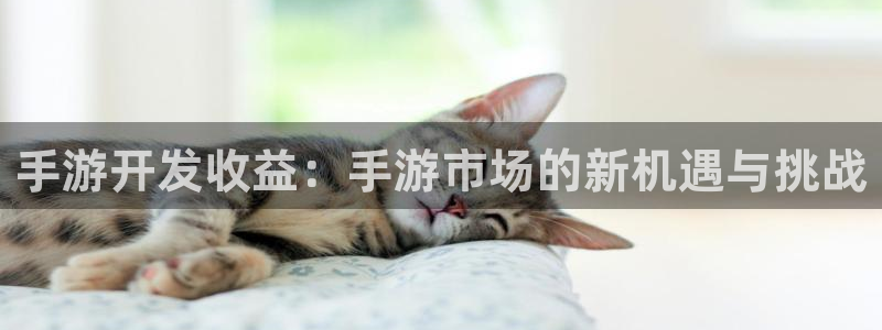 安信12娱乐注册：手游开发收益：手游市场的新机遇与挑战