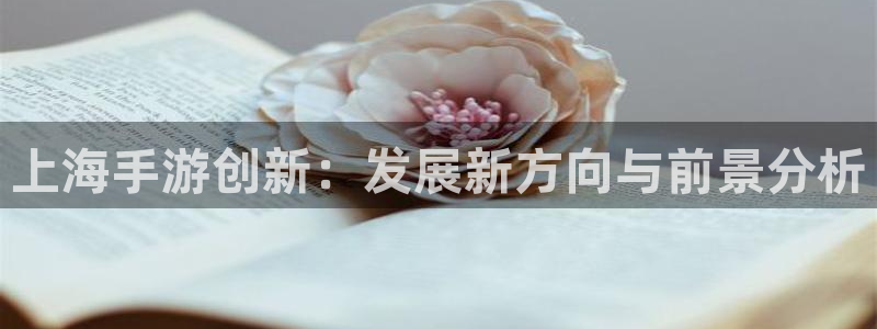 安信13娱乐：上海手游创新：发展新方向与前景分析
