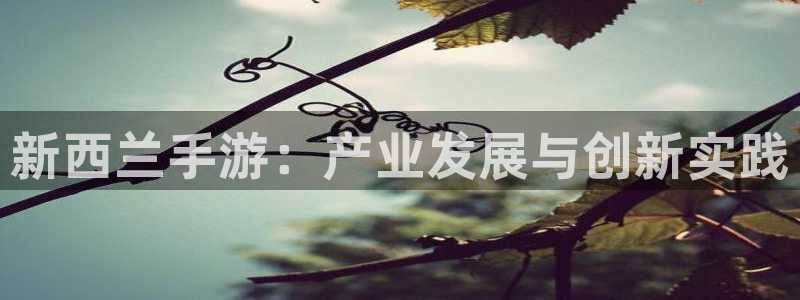 安信14娱乐注册：新西兰手游：产业发展与创新实践