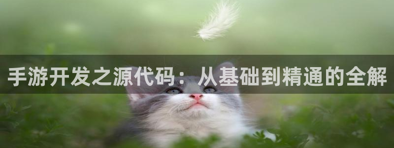 安信15娱乐：手游开发之源代码：从基础到精通的全解