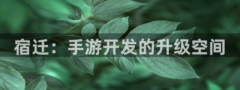 安信13娱乐：宿迁：手游开发的升级空间