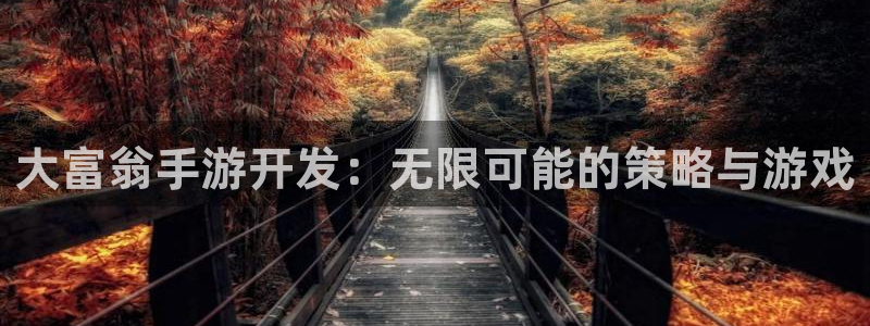 安信娱乐软件：大富翁手游开发：无限可能的策略与游戏