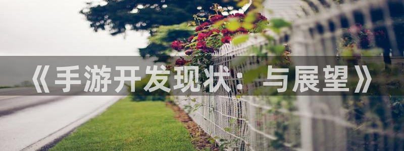 安信3娱乐注册：《手游开发现状：与展望》