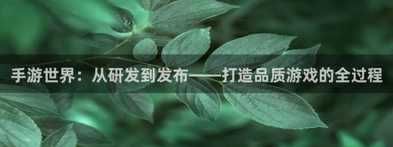 安信娱乐2：手游世界：从研发到发布——打造品质游戏的全过程