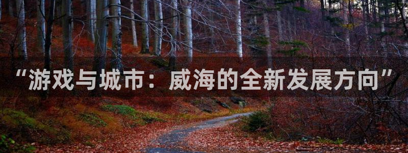 安信娱乐被国家认可吗：“游戏与城市：威海的全新发展方向”