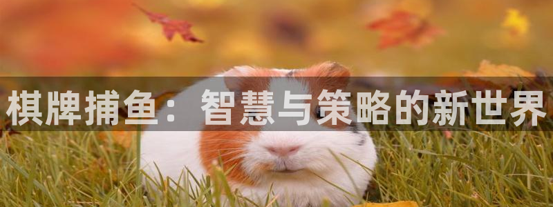 安信娱乐软件：棋牌捕鱼：智慧与策略的新世界