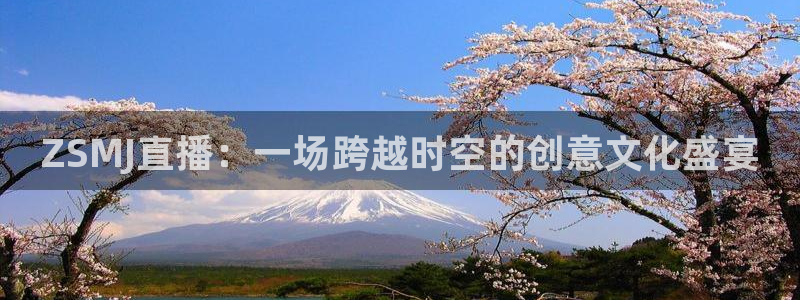 833篮球直播在线直播：ZSMJ直播：一场跨越时空的创意文化盛宴