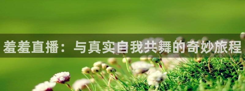 833nba直播在线观看免费：羞羞直播：与真实自我共舞的奇妙旅程
