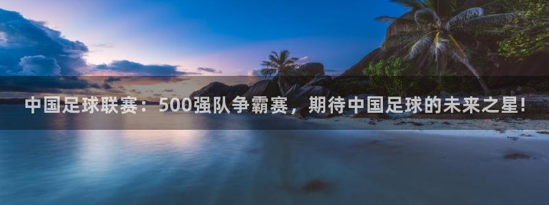 833直播体育免费观看入口：中国足球联赛：500强队争霸赛，期待中国足球的未来之星!