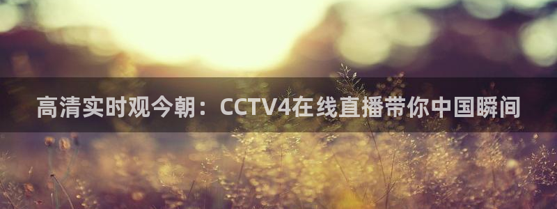 833直播体育免费入口：高清实时观今朝：CCTV4在线直播带你中国瞬间