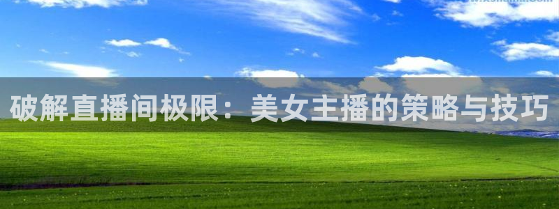833nba直播在线观看免费：破解直播间极限：美女主播的策略与技巧