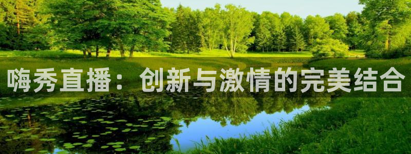 833足球直播网：嗨秀直播：创新与激情的完美结合
