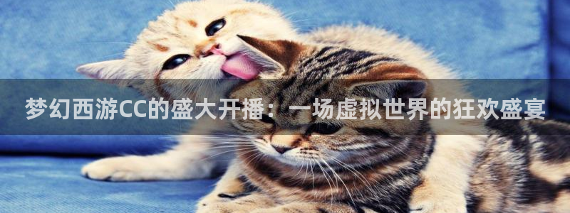 833直播足球：梦幻西游CC的盛大开播：一场虚拟世界的狂欢盛宴