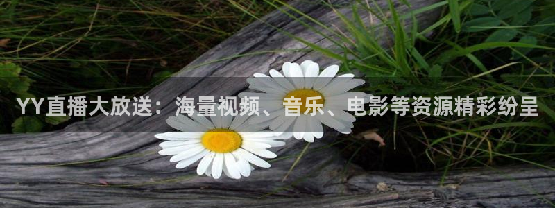 833直播免费体育直播下载