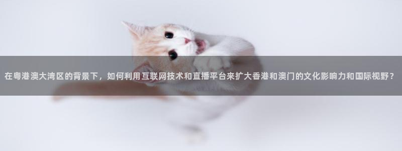833体育在线直播在线看免费版