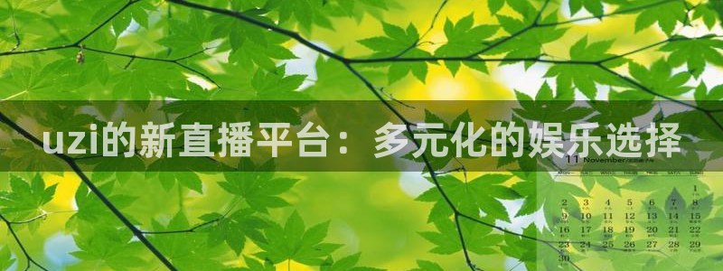 833直播体育nba