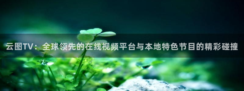 833体育赛事直播app