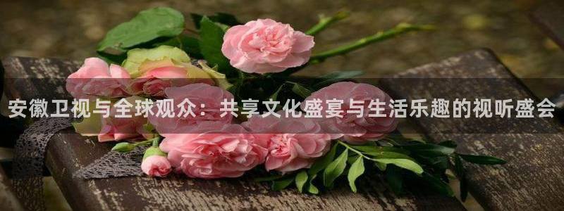 833直播体育免费入口