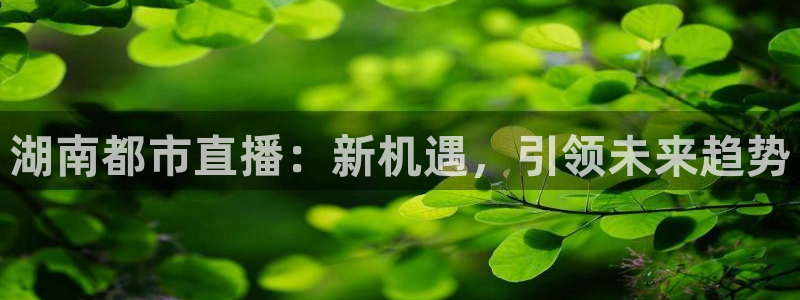 833直播：湖南都市直播：新机遇，引领未来趋势